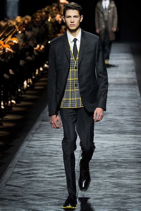 Dior Men Fall 2015 Menswear Fashion Show 